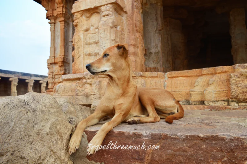 gandikota madavaraya swamy temple