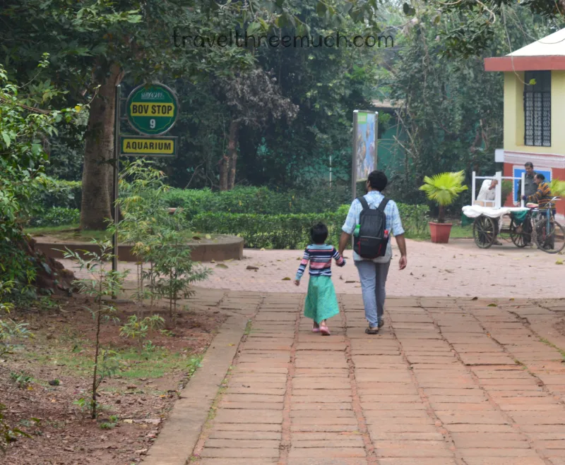 nandankanan zoo ttm