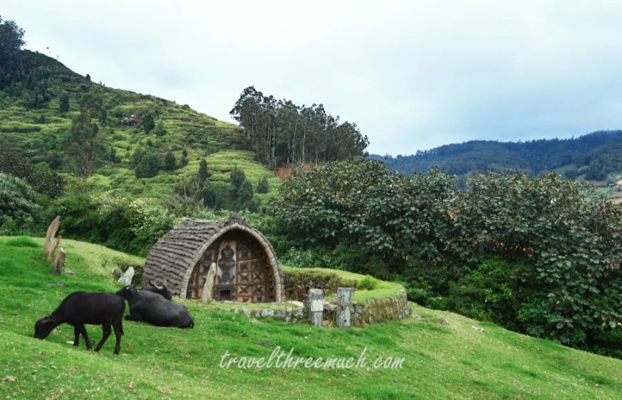 toda hut ooty