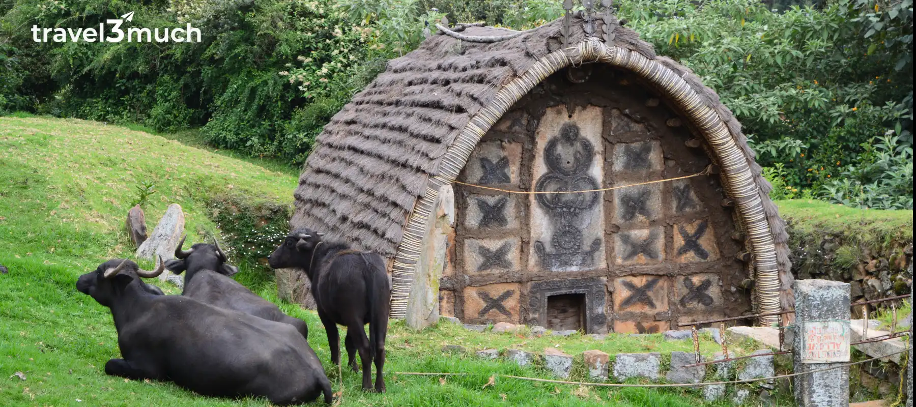 toda village ooty_heroimage