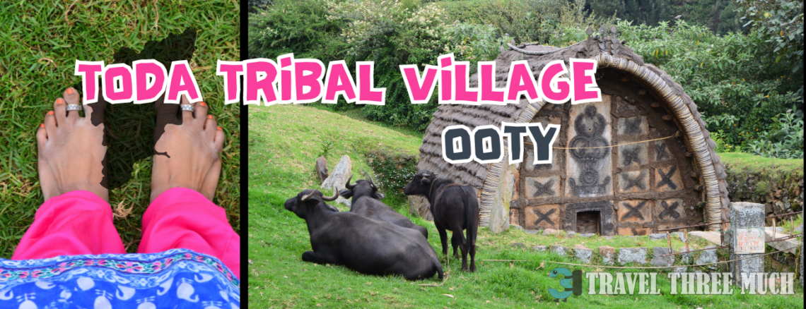 toda village ooty