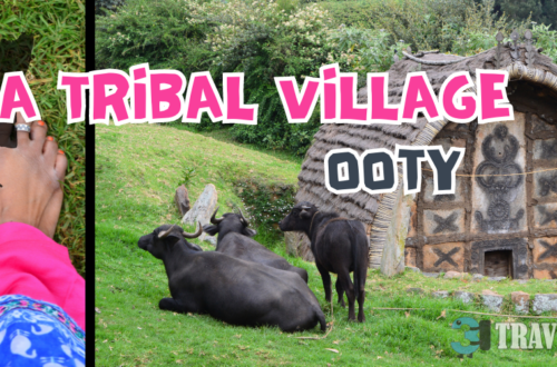 toda village ooty