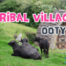 toda village ooty