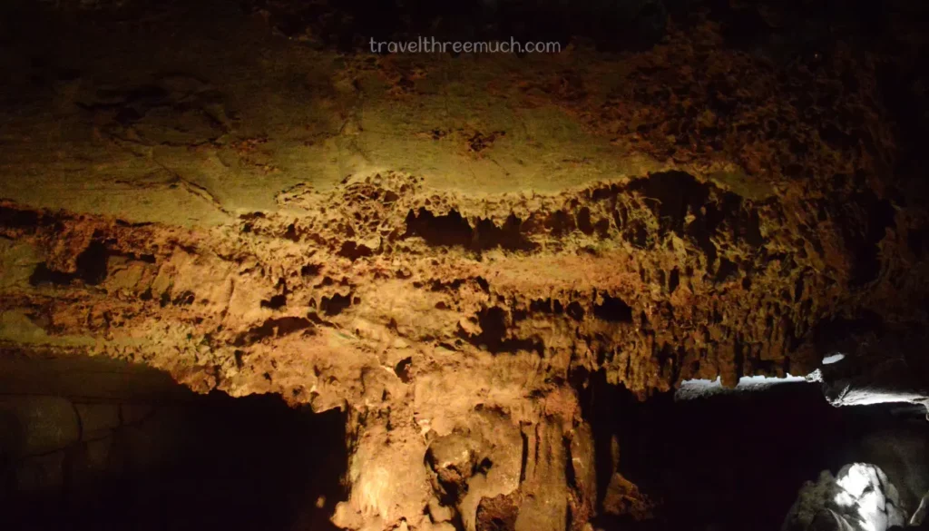 BELUM CAVES BANYAN