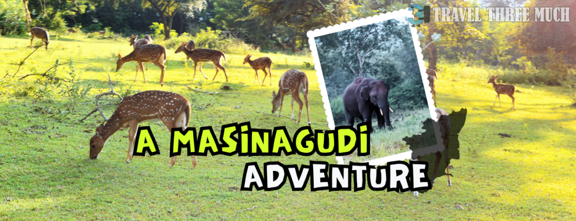 masinagudi itinerary