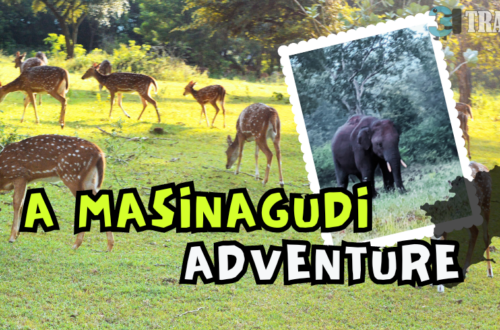 masinagudi itinerary