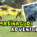 masinagudi itinerary