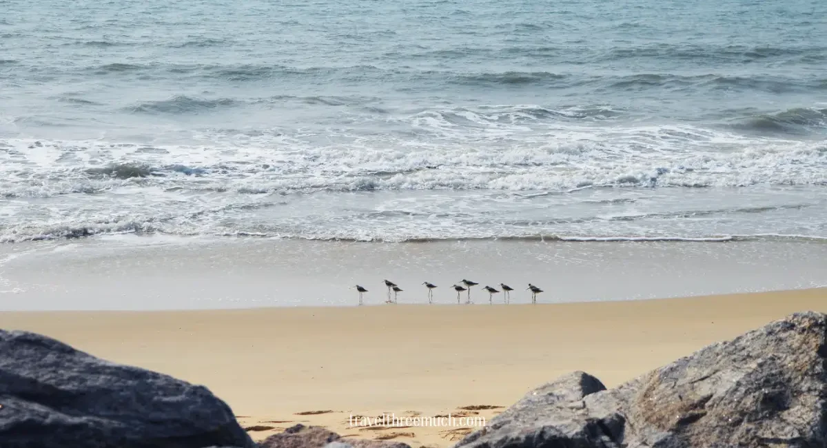 mattu beach
