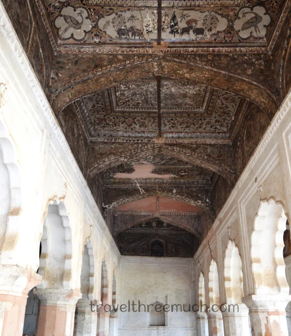 orchhafort9 orchha