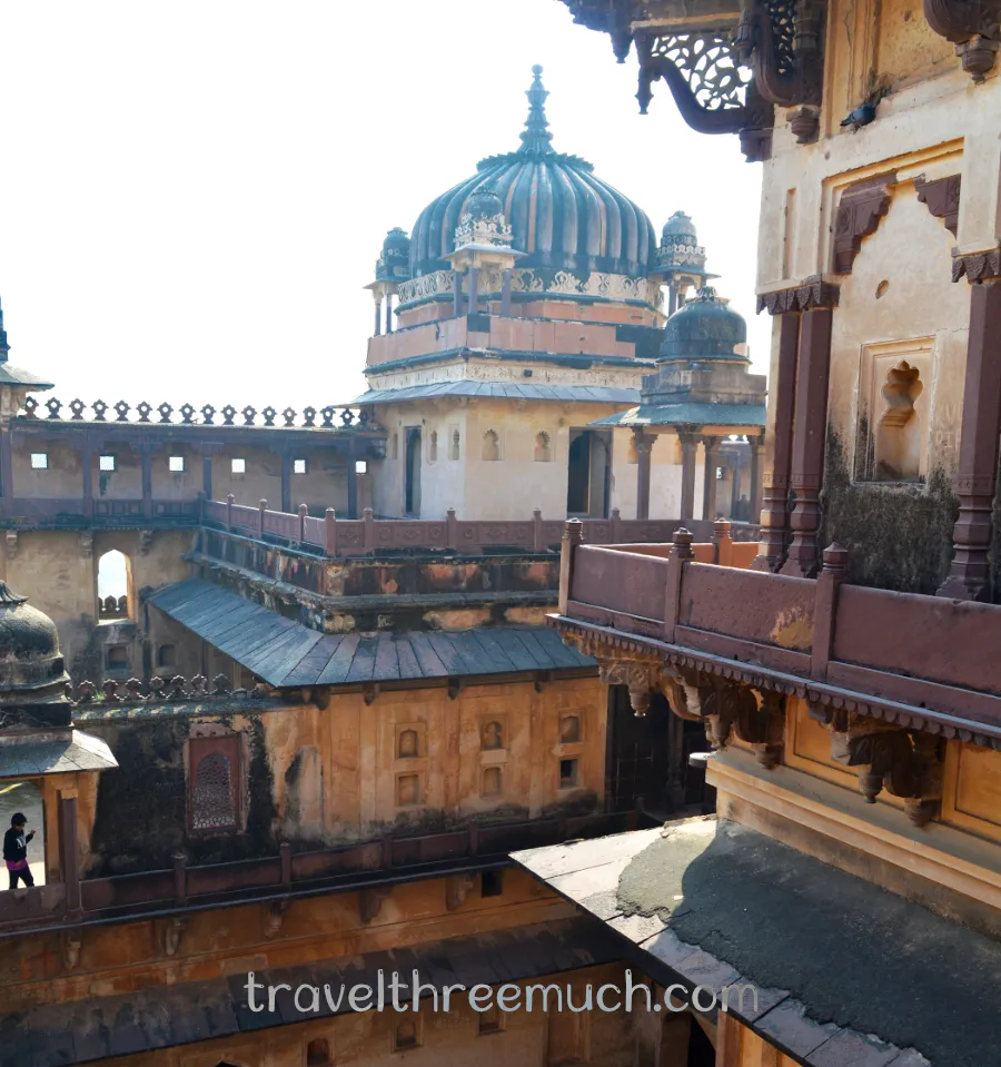 datiaorchha1