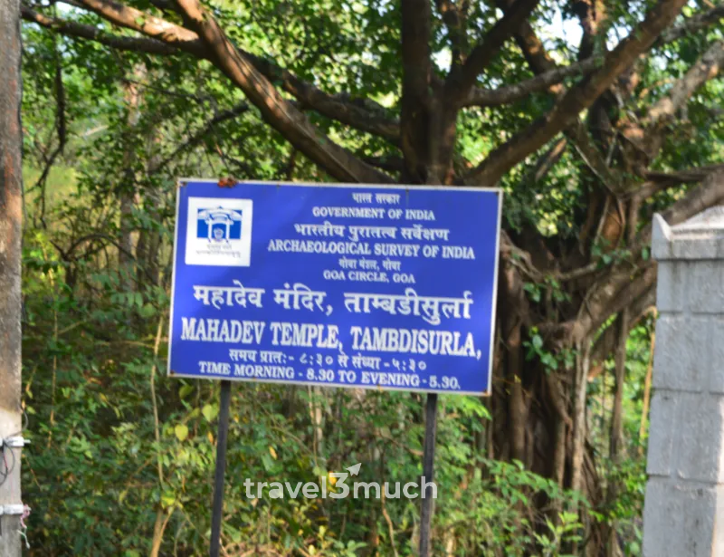tambdi surla