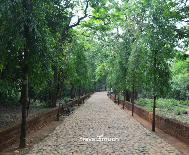 tambdi surla way