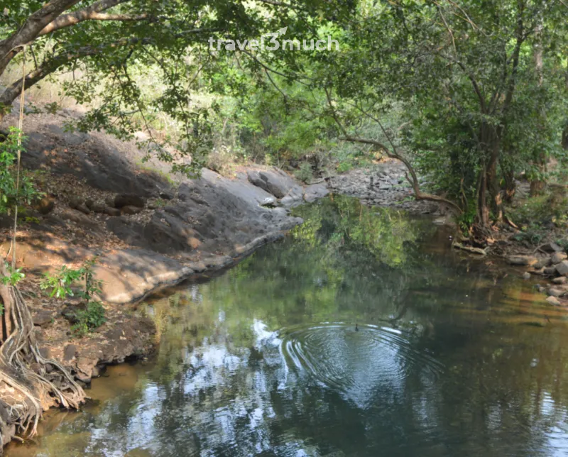 tambdi surla
