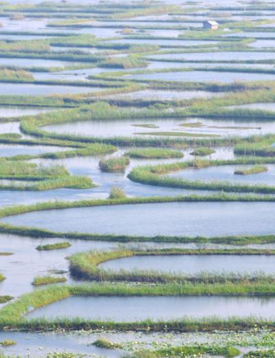 loktak lake blog image