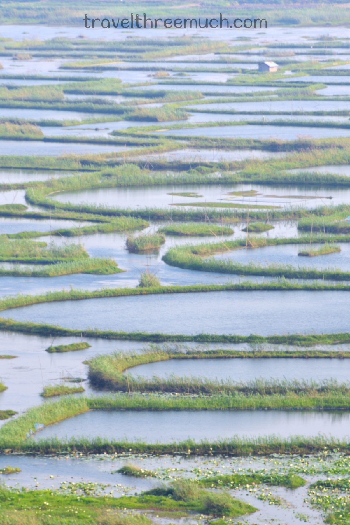 loktak lake blog image
