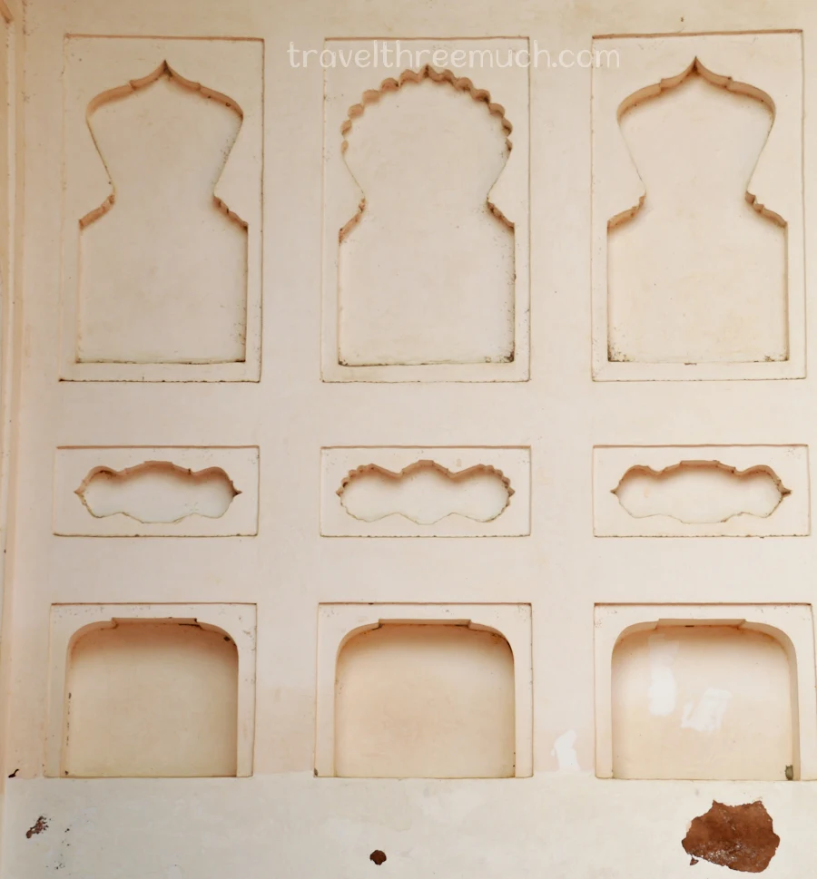 Chinikarauza agra