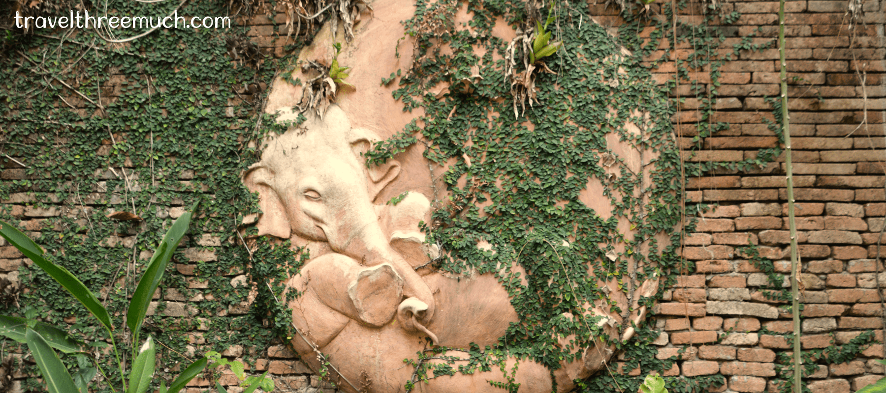 Chiang Mai1_heroimage