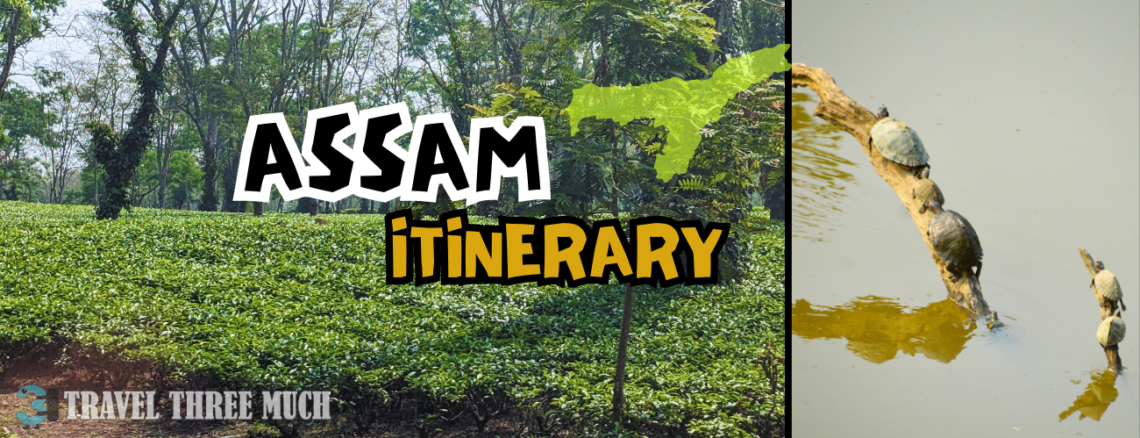 assam itinerary cover