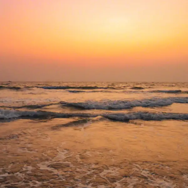 goa cover category