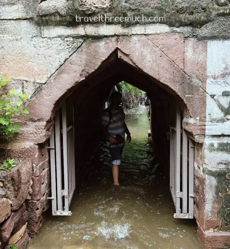 RJDP9 rao jodha