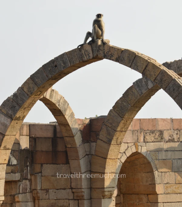 Champaner Saath kamaan