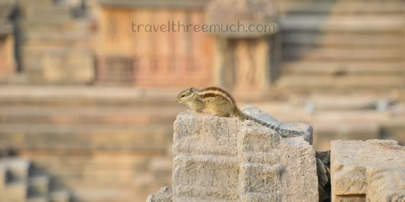 Modhera last