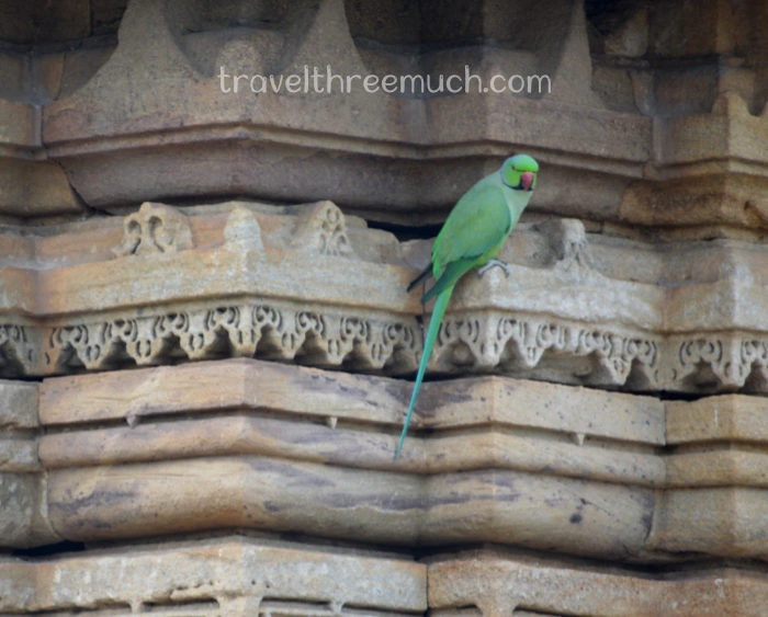 ek minar champaner pavgadh1