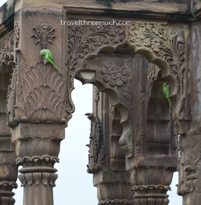 panchkund chatri jodhpur